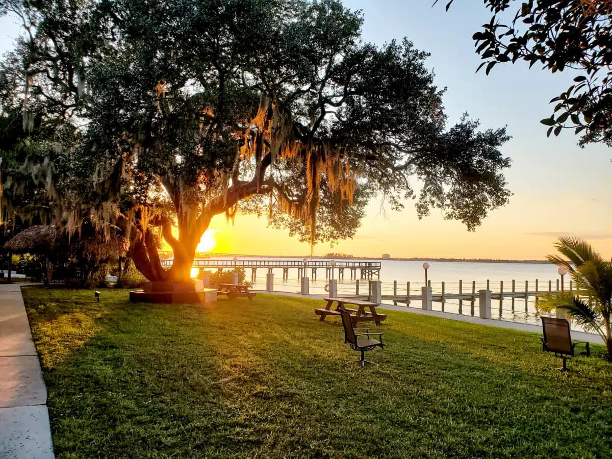 Celadon Recovery Outpatient Services - Preview